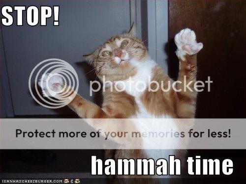 HammerTime.jpg