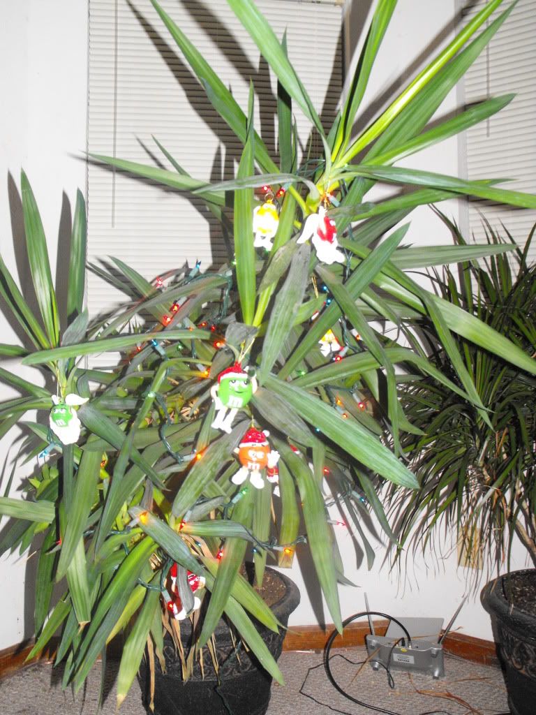 DSCF4005.jpg