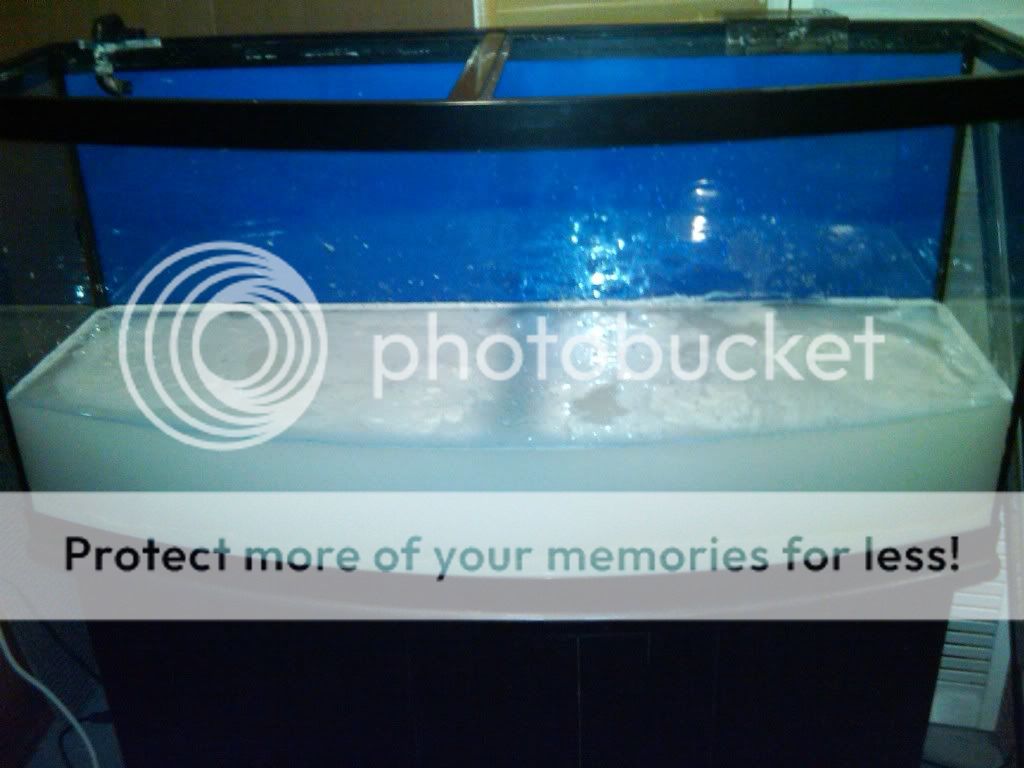 IMG00089-20100207-2025.jpg