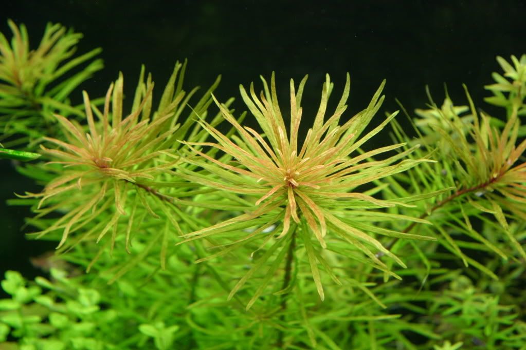 60g04-12-10007.jpg