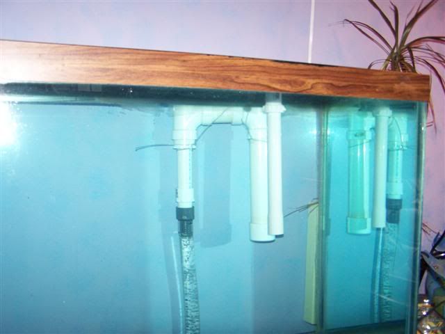 100_0594Small.jpg