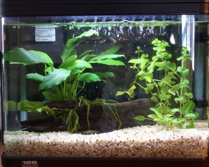 tank_update1.jpg