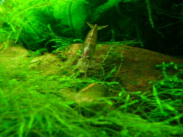 DSCN7792.jpg