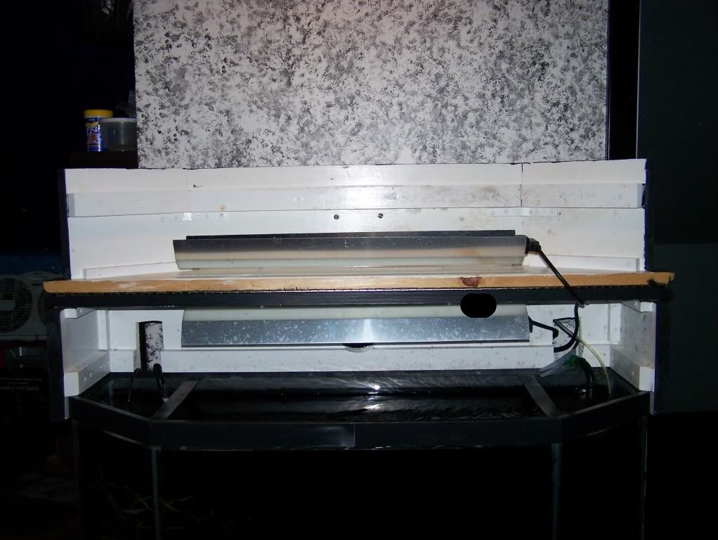 100_4225.jpg