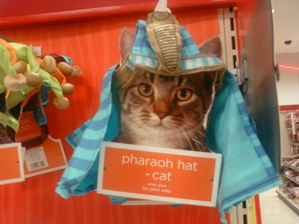 pharaoh-cat.jpg