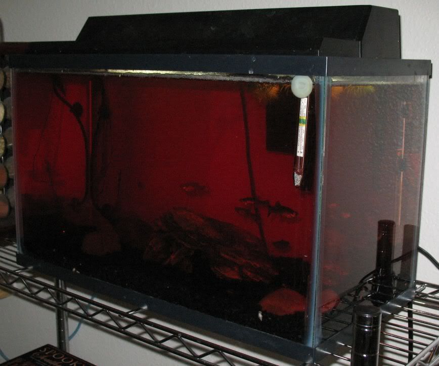 Quarantine_3.jpg