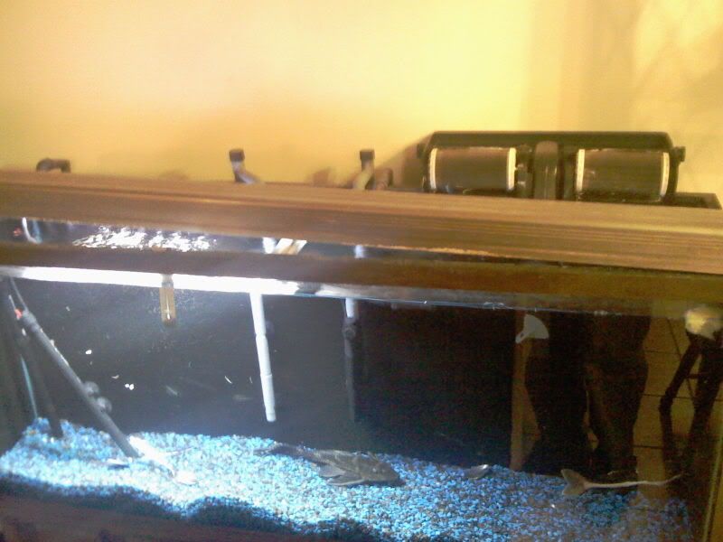 IMAG0027.jpg