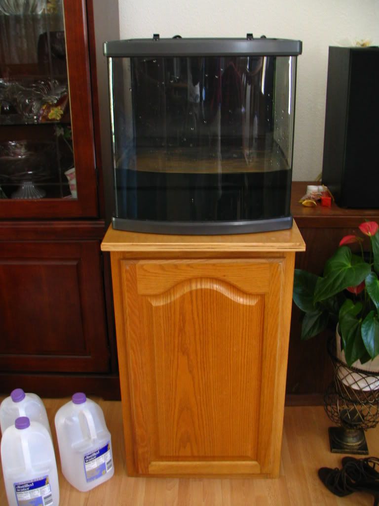 Picture1124.jpg