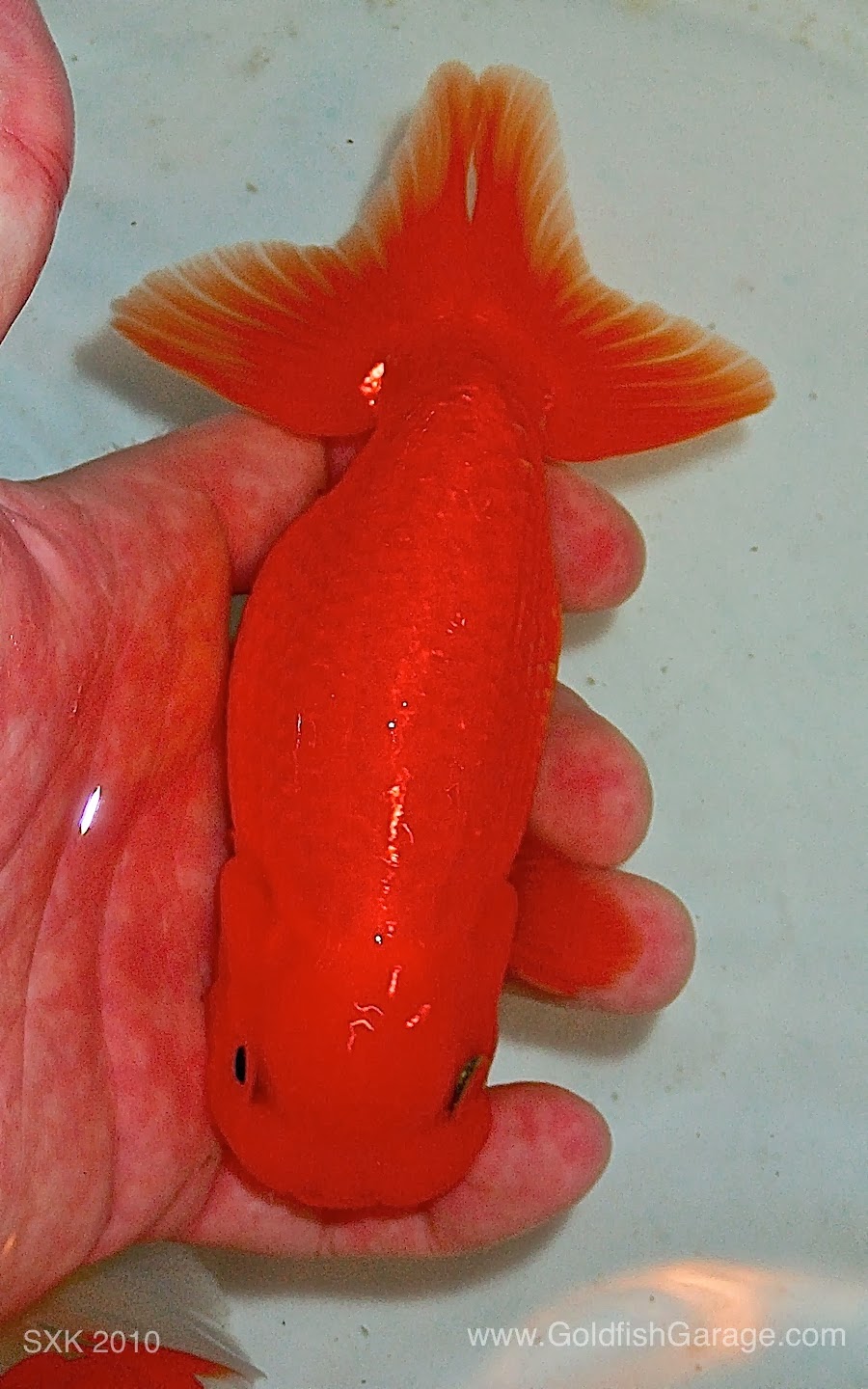 P1064563.jpg