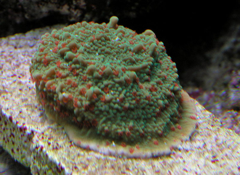3550466208_434e6ca22d_o.jpg