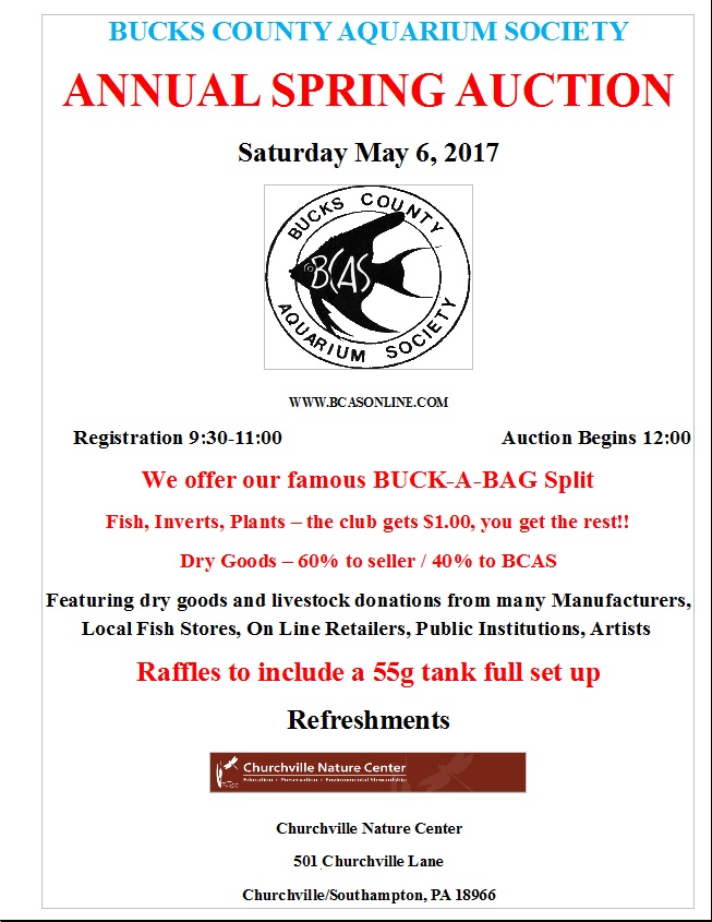 flyer_2017.jpg