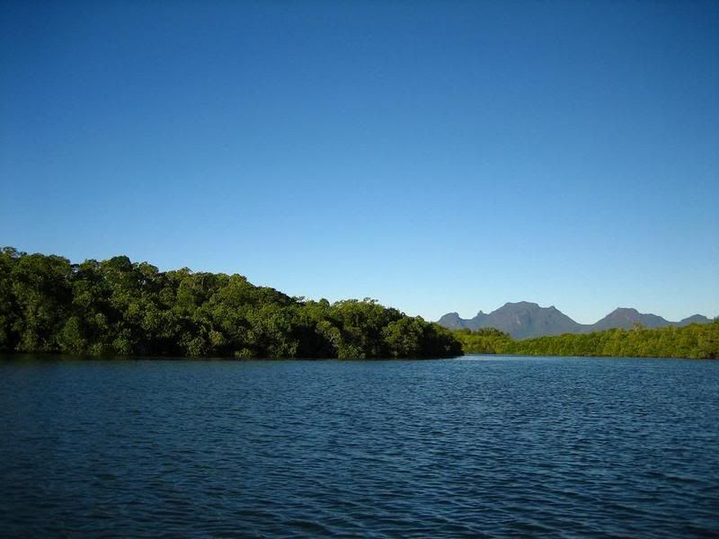 DamperCreek17.jpg