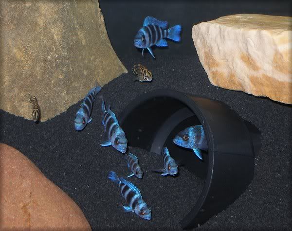 FamilyPhoto.jpg