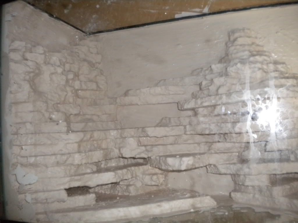 DSCN0331.jpg