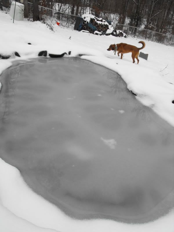 January2011004.jpg