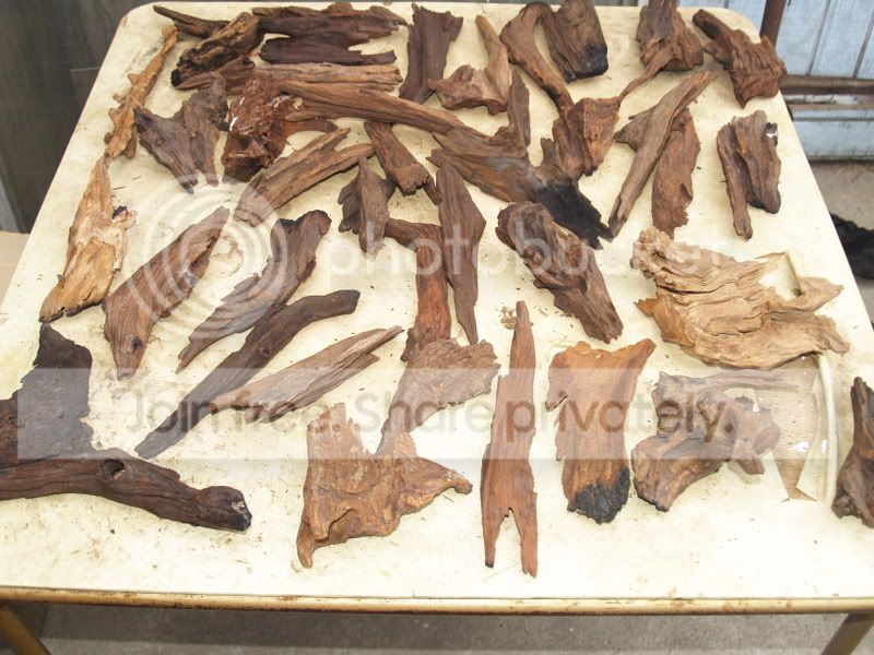 boxofwood1_05.jpg