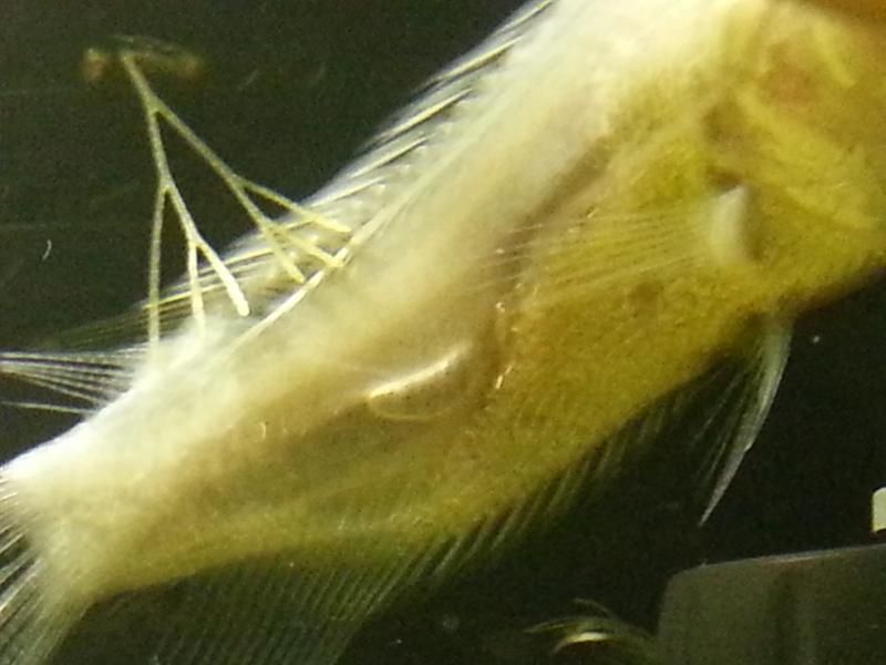 20150107_211732.jpg