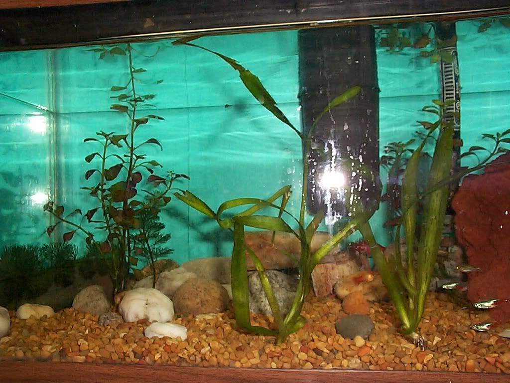 P0000005.jpg