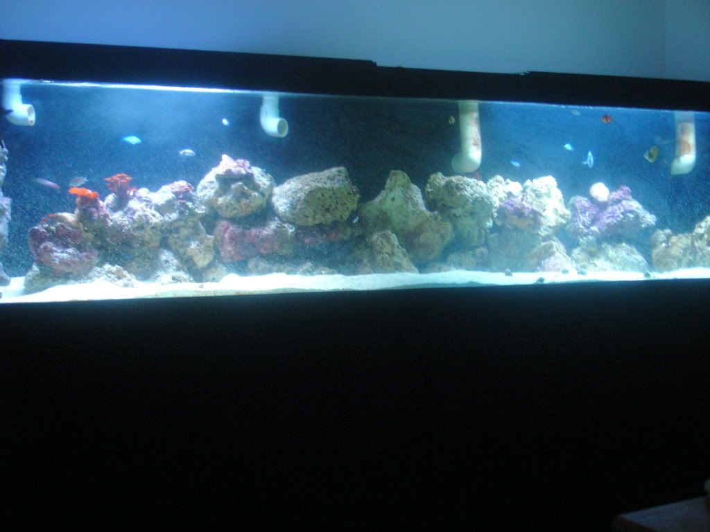 tank2.jpg