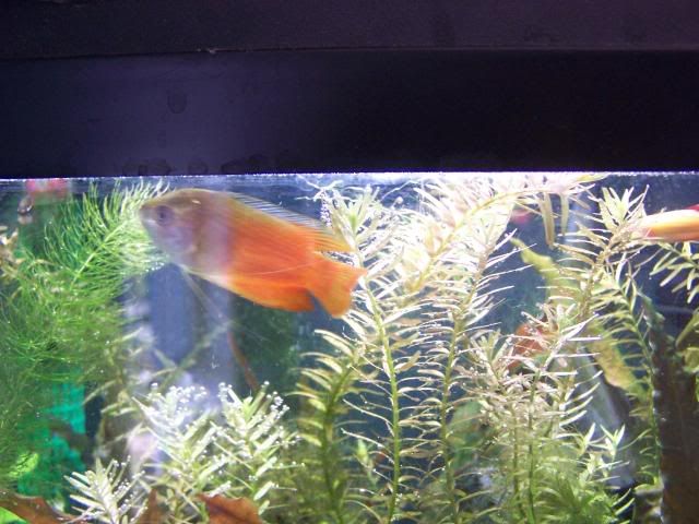 picture013.jpg
