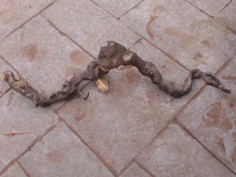 IMG00084.jpg