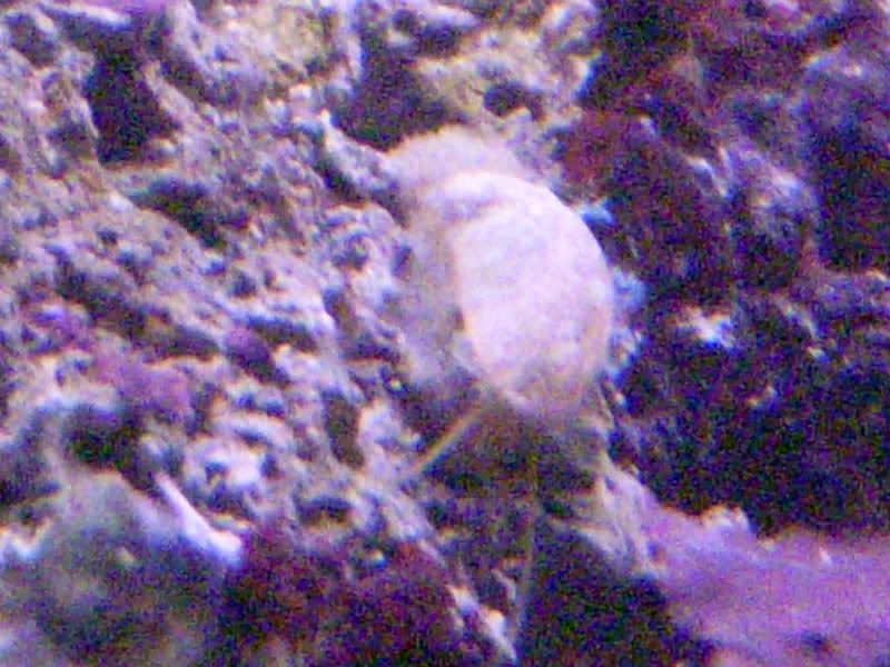 DSCN1663.jpg