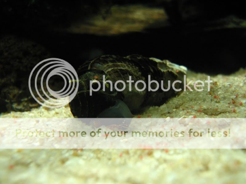 IMG_6934.jpg
