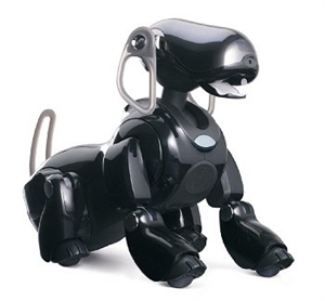 aibo_1.jpg