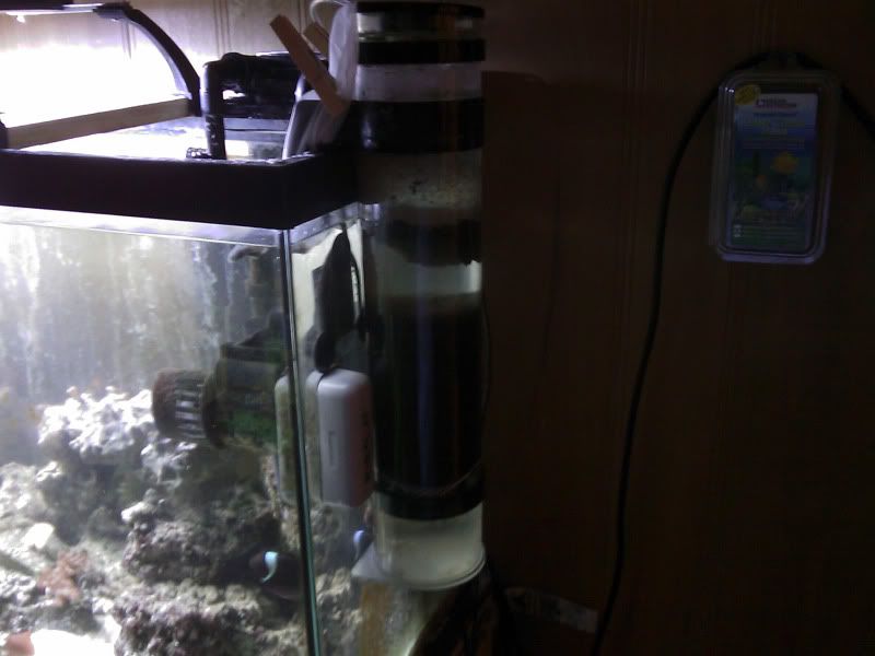IMAG0103.jpg