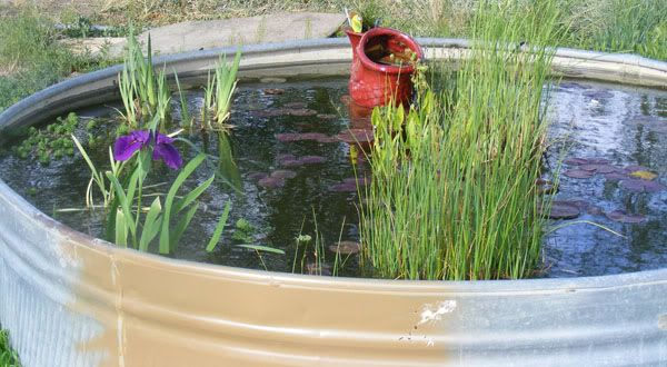 Tank2_05-10.jpg