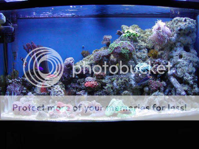 P1010092-2.jpg