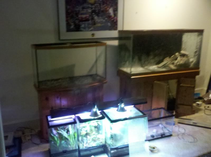 2011-09-17_23-26-20_945.jpg