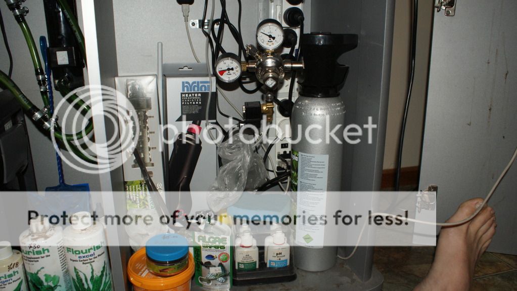 Aquariumstuff005.jpg