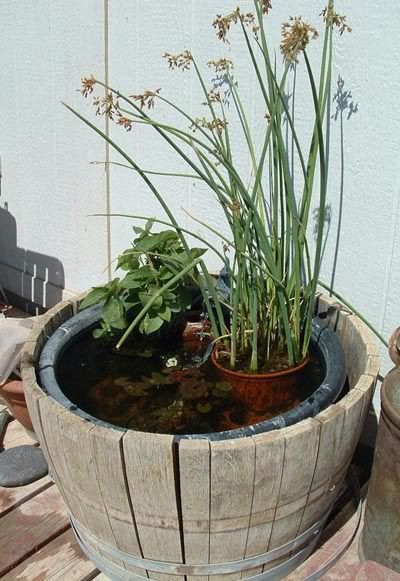 Barrel17-04.jpg