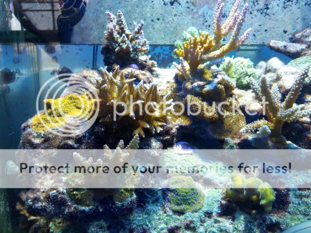 IMG952012111095130301.jpg
