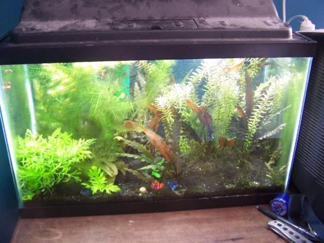 picture014.jpg