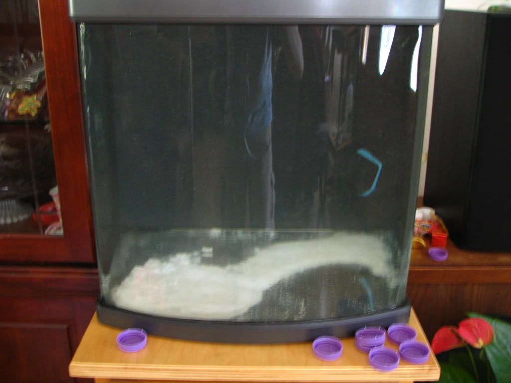 Picture1131.jpg
