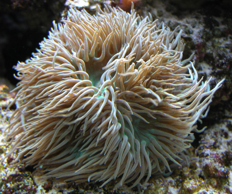 2853625093_316cf26e59_o.jpg