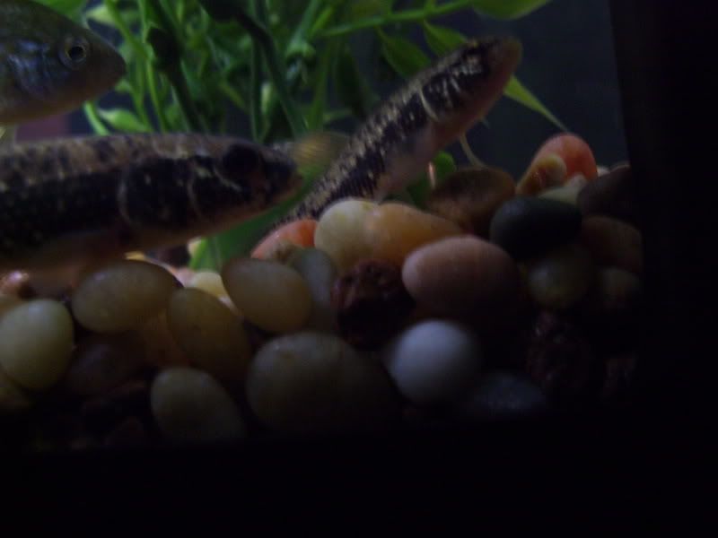 100_3550.jpg
