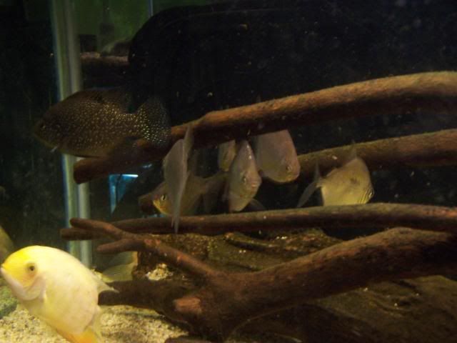 picture049.jpg