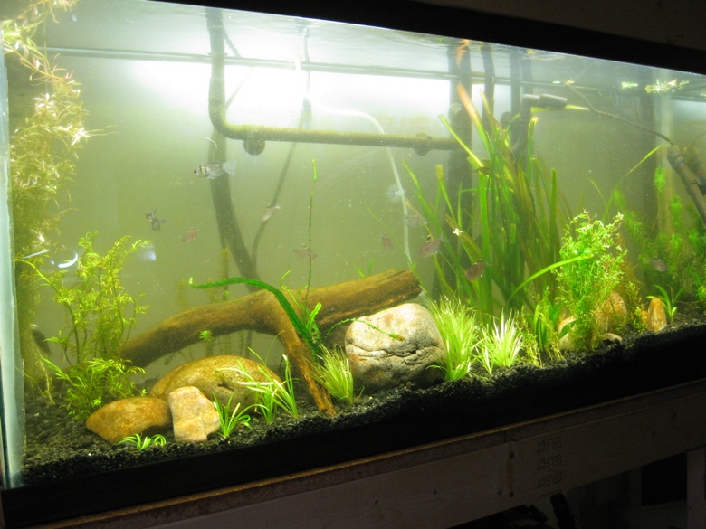 fulltank20100728.jpg