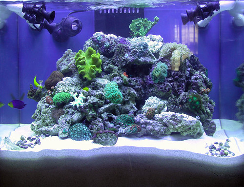 2581646895_6f6eb4663f.jpg