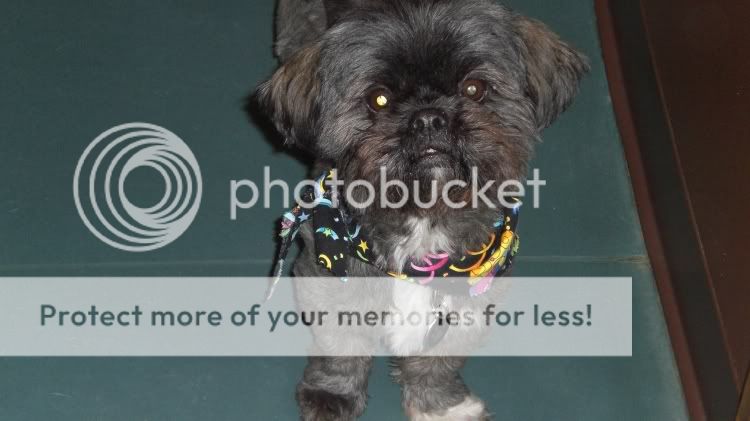 happyboo.jpg