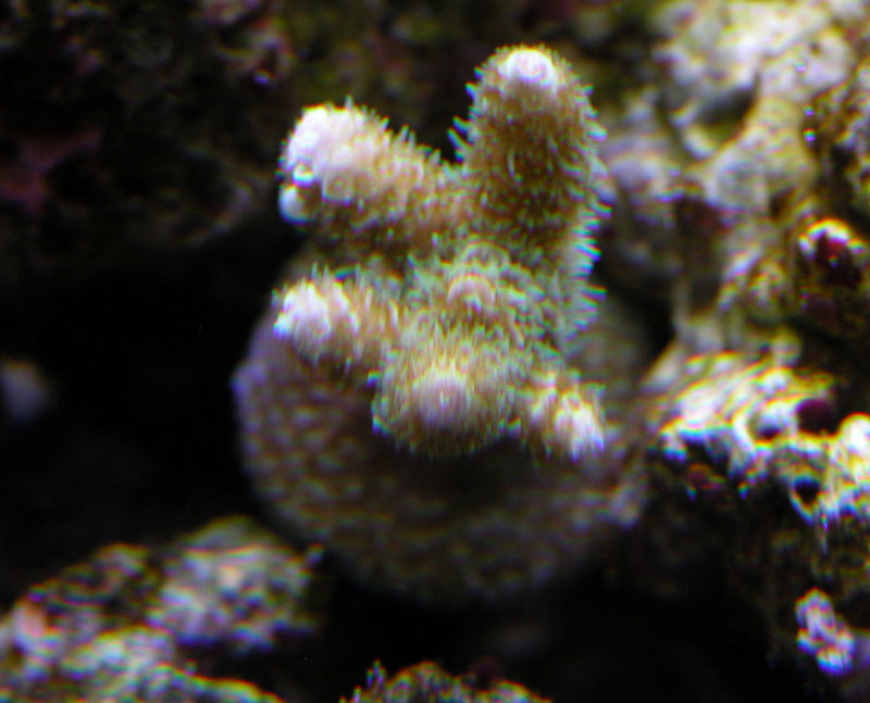 2886120821_ac4df157e4_o.jpg