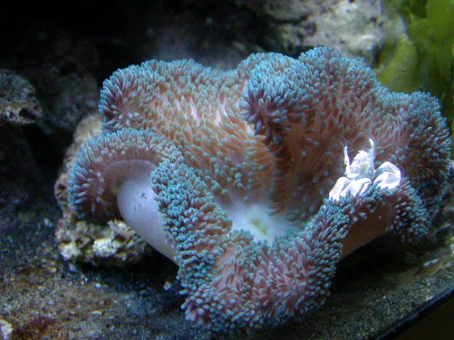 P1010005-13.jpg