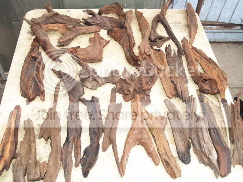 boxofwood1_03.jpg