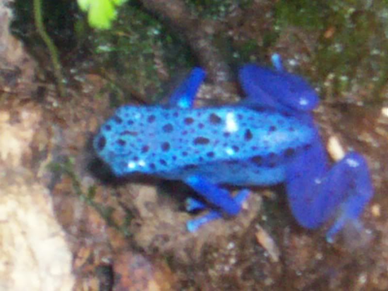100_0425.jpg