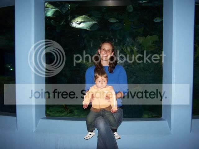 aquarium029.jpg