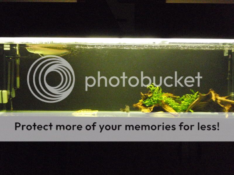 P7150708.jpg