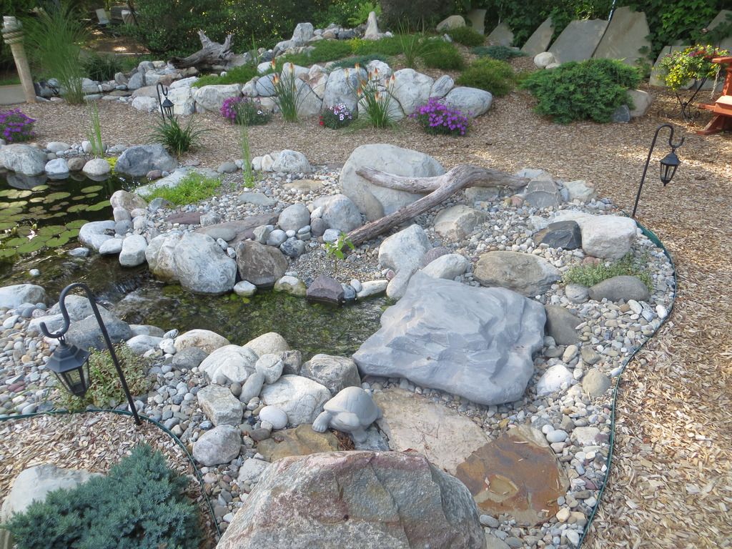 IMG_1291.jpg